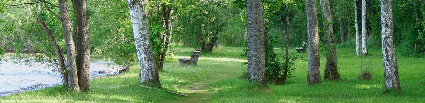 Sitzbänke im Wald am See